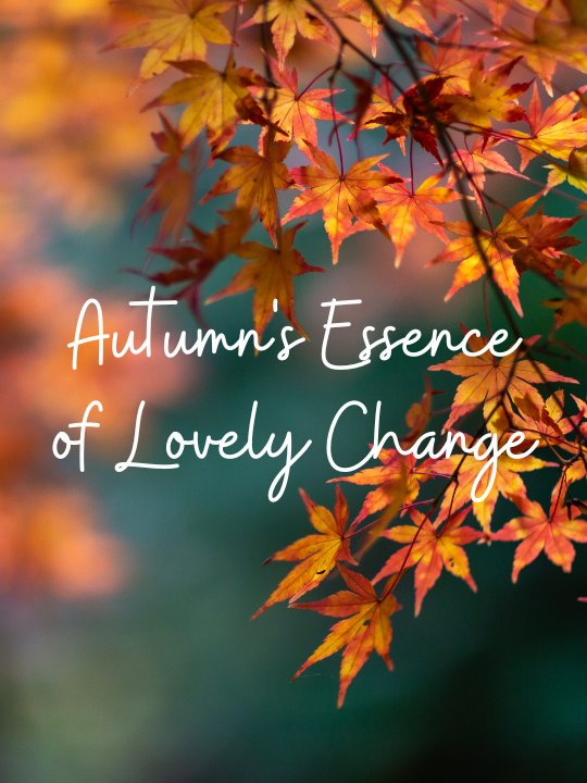 Autumn's Essence of Lovely Change - A Carefully Curated Life